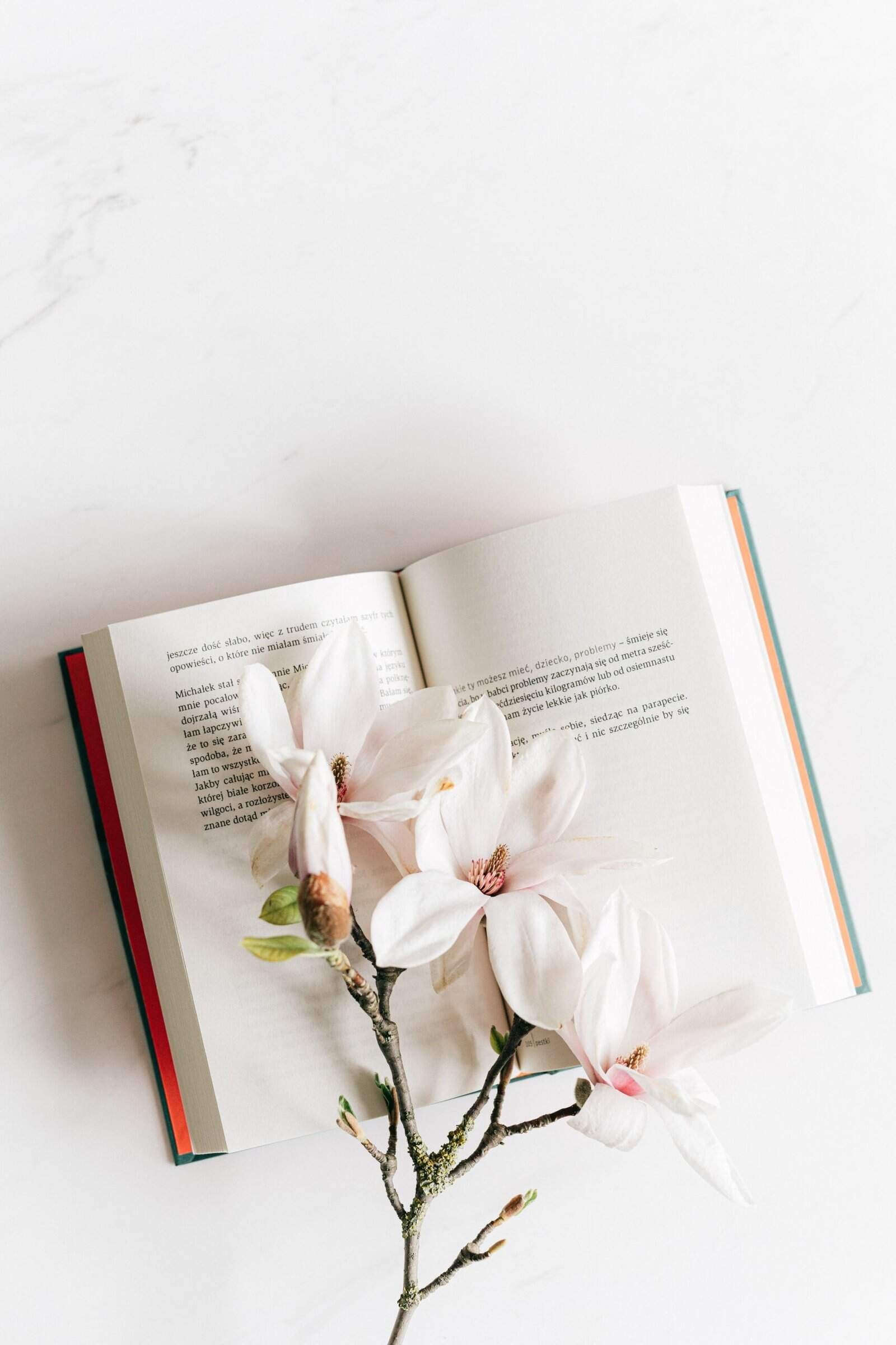 digtial products post - open book with flowers laying on top of it
